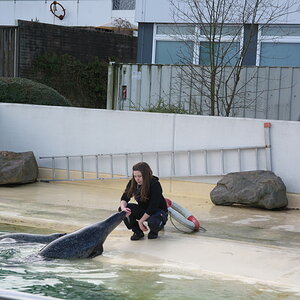 DSC_2032-001.jpg