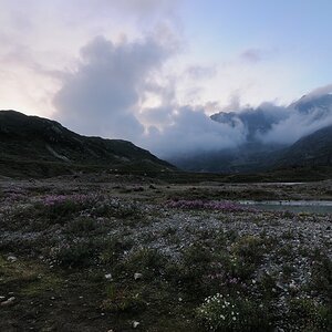 Nebel 
Sustenpass BE