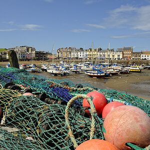 Ilfracombe (Devon)