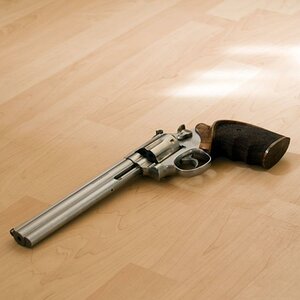 Gun1