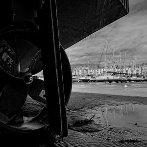 Ilfracombe (Devon)