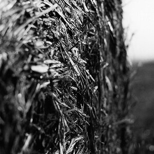 analog ports aug 2009 018