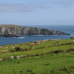 Mizen Head