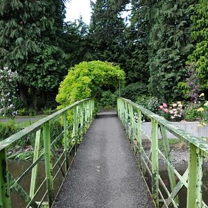 Dublin botanic garden
