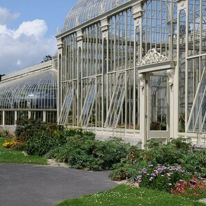 Dublin botanic garden
