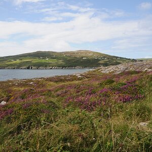 Irland