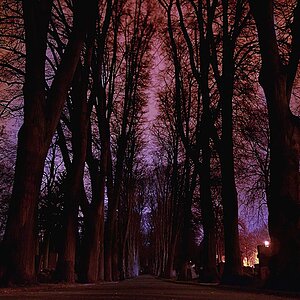 2009 04 01 Friedhof bei Nacht 011 cnx2