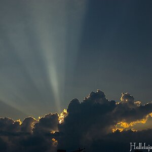 s DSC 0093