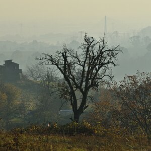 DSC_2612_00001n.jpg