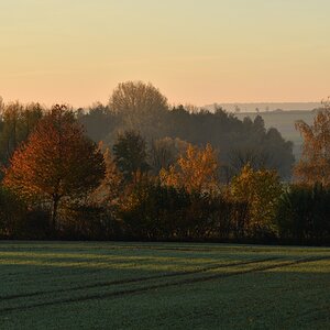 DSC_2557_00001n.jpg