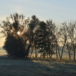 DSC_2581_00001n.jpg