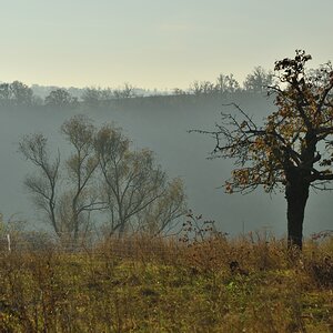 DSC_2603_00001n.jpg
