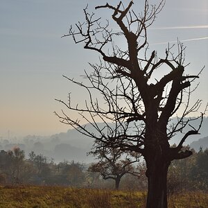 DSC_2608_00001n.jpg