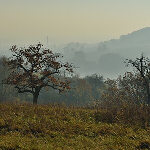 DSC_2617_00001_02n.jpg
