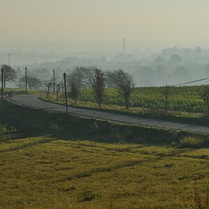 DSC_2622_00001n.jpg