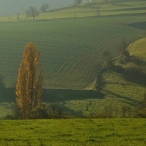 DSC_2643_00001n.jpg