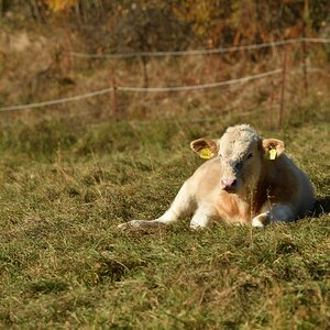 DSC_2689_00001n.jpg