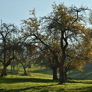 DSC_2698_00001n1.jpg