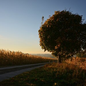 DSC_2872_00001n.jpg
