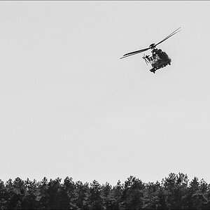 Super Puma BW (1 von 1).JPG