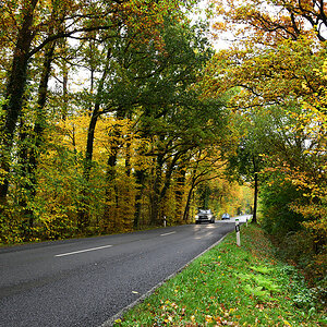 811_7979fks50p1.jpg