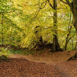 TZ_DSC03118_A.jpg