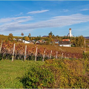 comp_D85_0486.jpg