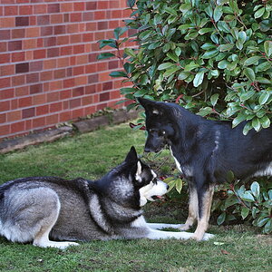 DFX_0958.jpg