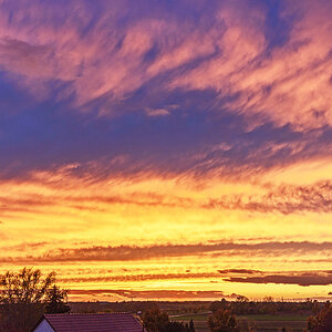 OF2_54399.jpg