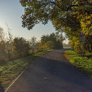OF2_54361.jpg