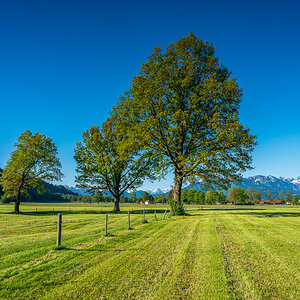 _DSC6016.jpg
