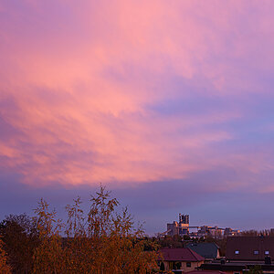 OF2_54401.jpg