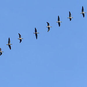 OF5_17010.jpg