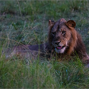 D75_7955-Bearbeitet-Bearbeitet.jpg