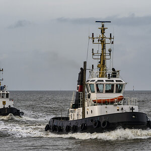_Z7F6741-_300#.JPG