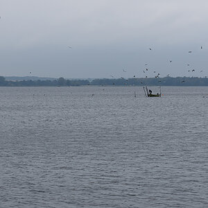 OF2_51846.jpg