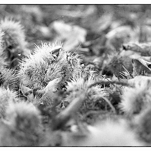 Herbst_2021-8.jpg