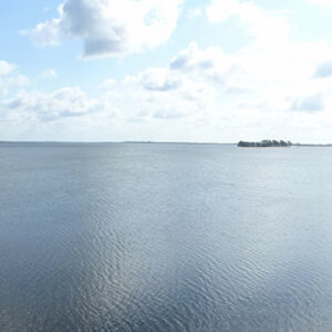 DSC_8175.jpg