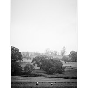 JuraDSC_3181.jpg