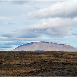 island (196).jpg