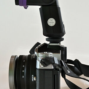 tt359n2.JPG