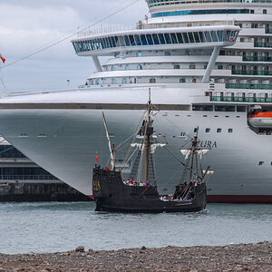 20100502-DSC_0248.jpg