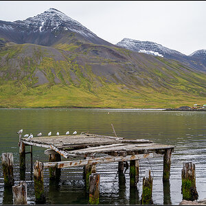 island (266).jpg