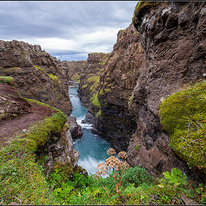 island (286).jpg