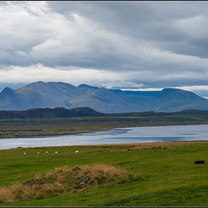 island (299).jpg