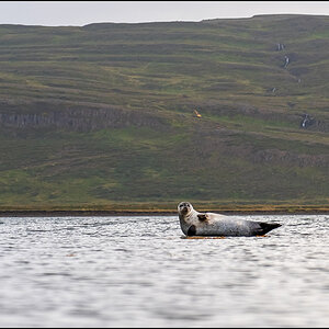 island (321).jpg