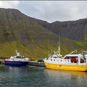 island (330).jpg