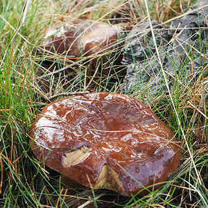 KSW01397.jpg