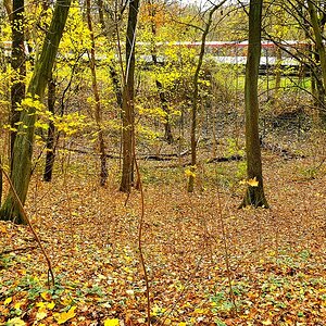TZ_2021-11-20_12-50.jpg