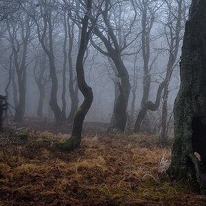 D85_5910.jpg